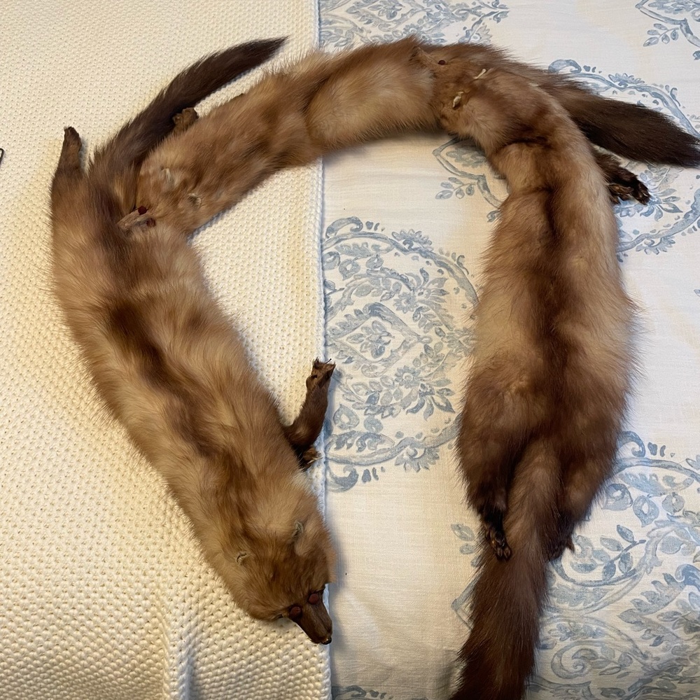 Vintage Sale 3 pelt fur Scarf